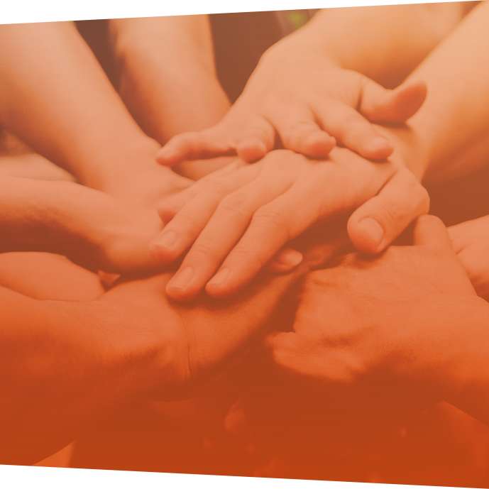 Colaboradores Grupo WLS